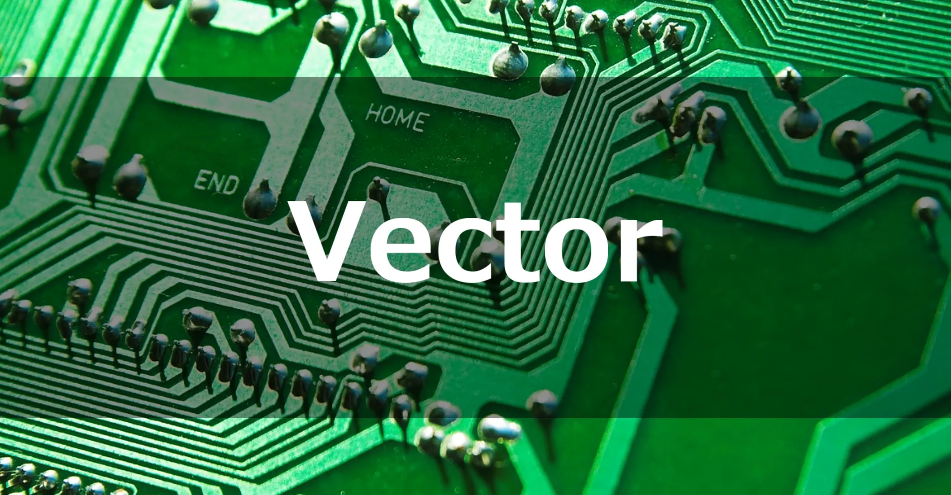 vector